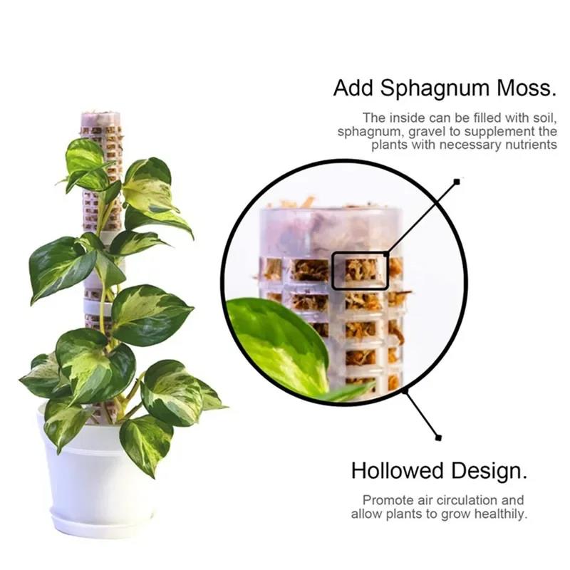 Sphagnum Moss Dry - Plant Climbing Frame Plant Trellis Supporting