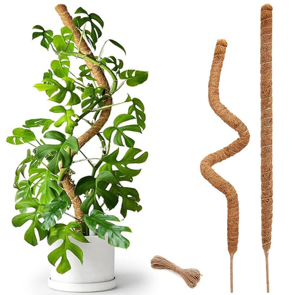 Plant Support Bendable Moss Po - Sphagnum Moss Dry recension och pris