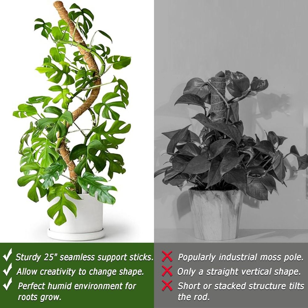 Plant Support Bendable Moss Po - Sphagnum Moss Dry recension och pris